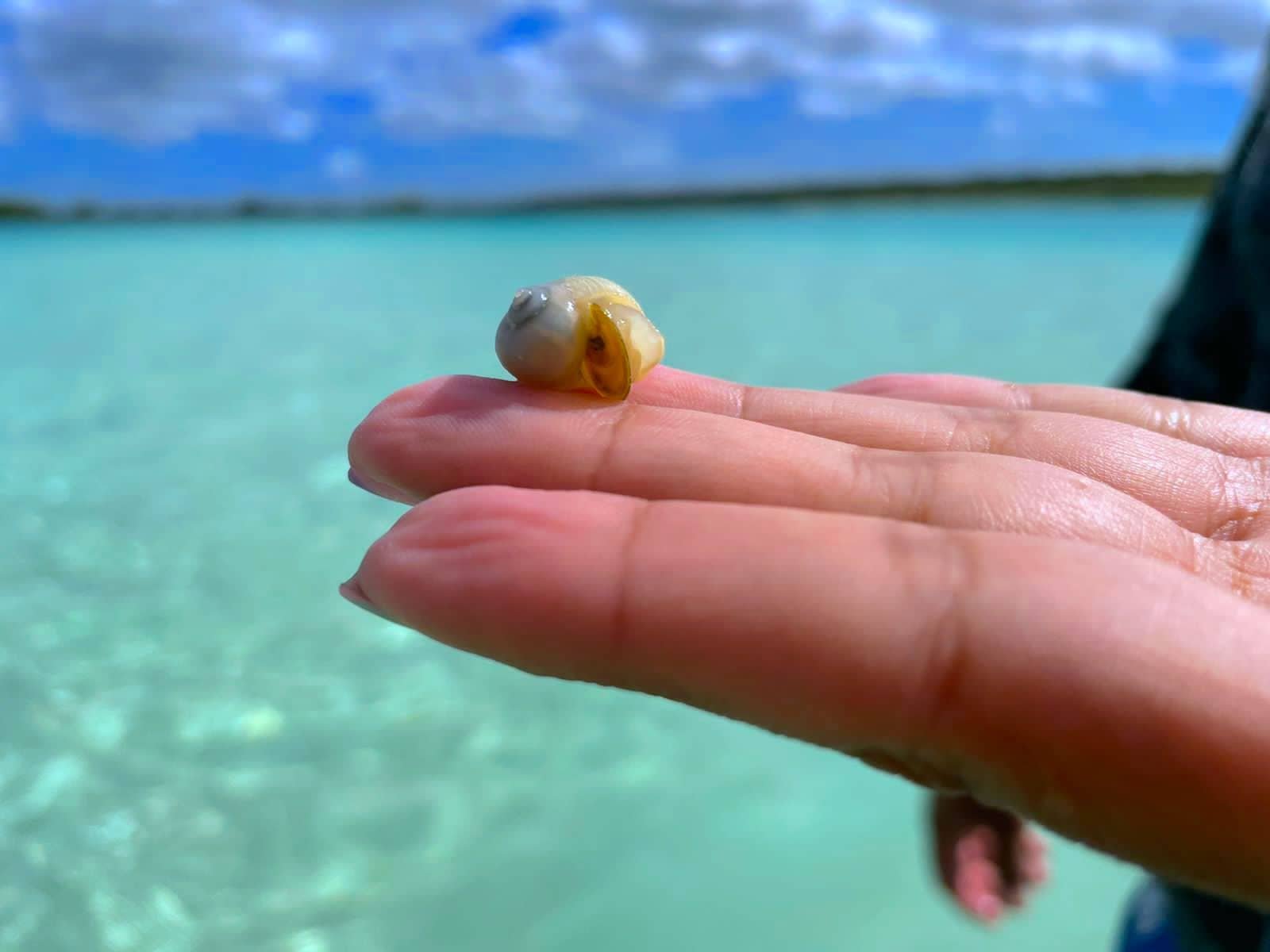 Hakuna Sailing Bacalar Caracol