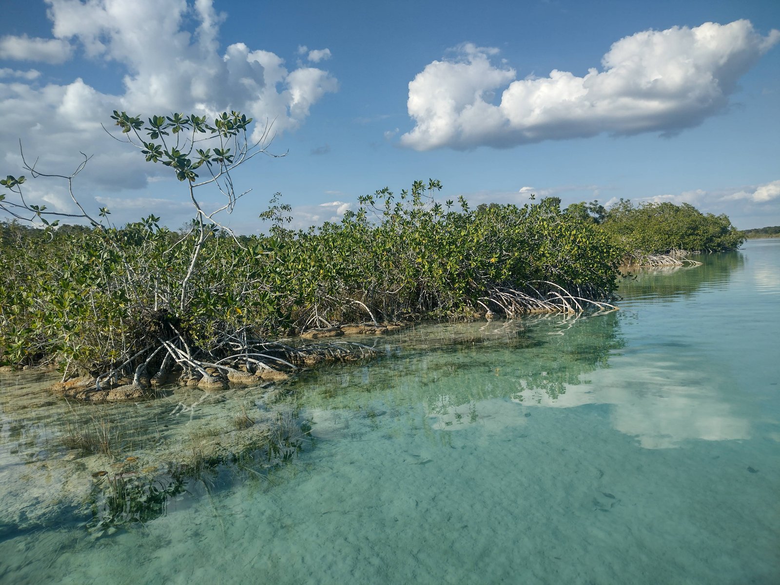 Hakuna Sailing Review 1